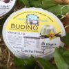 Budino alla vaniglia