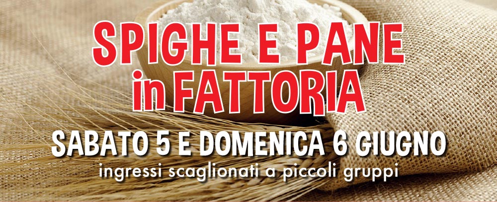 SPIGHE e PANE  in FATTORIA - sabato 5 e domenica 6 giugno