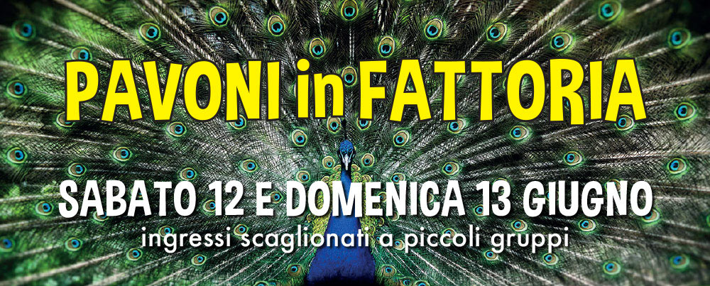 PAVONI in FATTORIA - sabato 12 e domenica 13 giugno