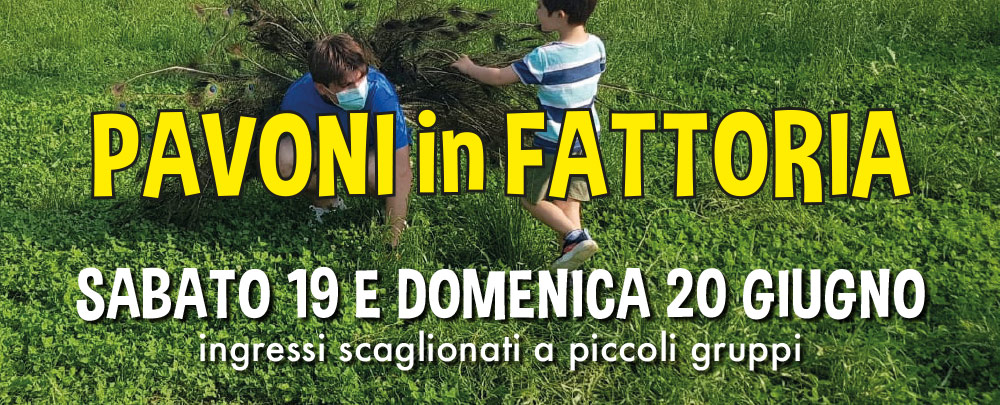 PAVONI in FATTORIA - sabato 19 e domenica 20 giugno