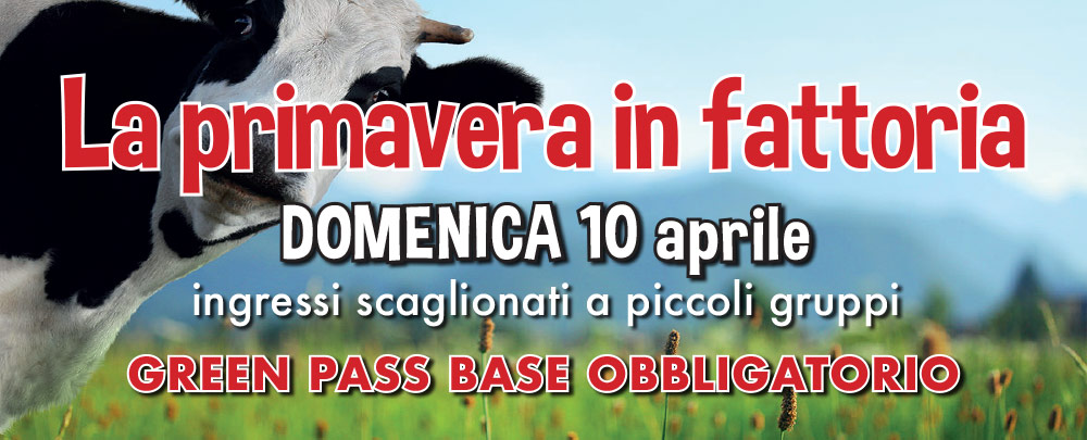 La PRIMAVERA in fattoria:  domenica 10 aprile