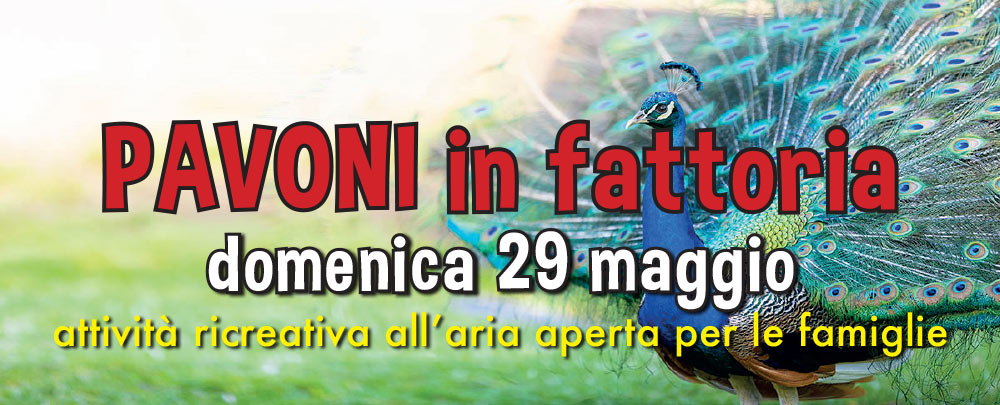 PAVONI in fattoria: domenica 29 maggio