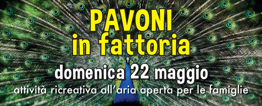 PAVONI in fattoria: domenica 22 maggio