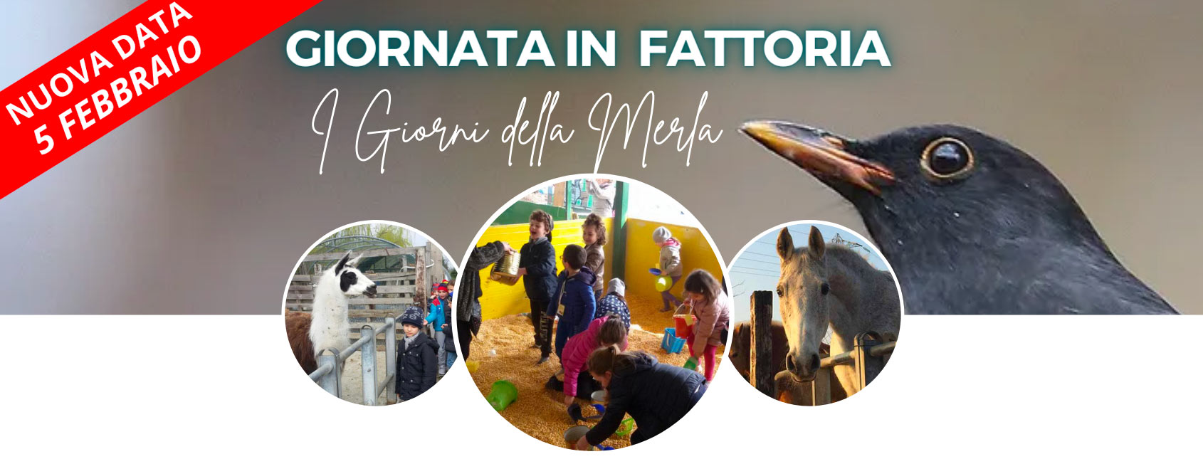 I GIORNI della MERLA: domenica 5 febbraio