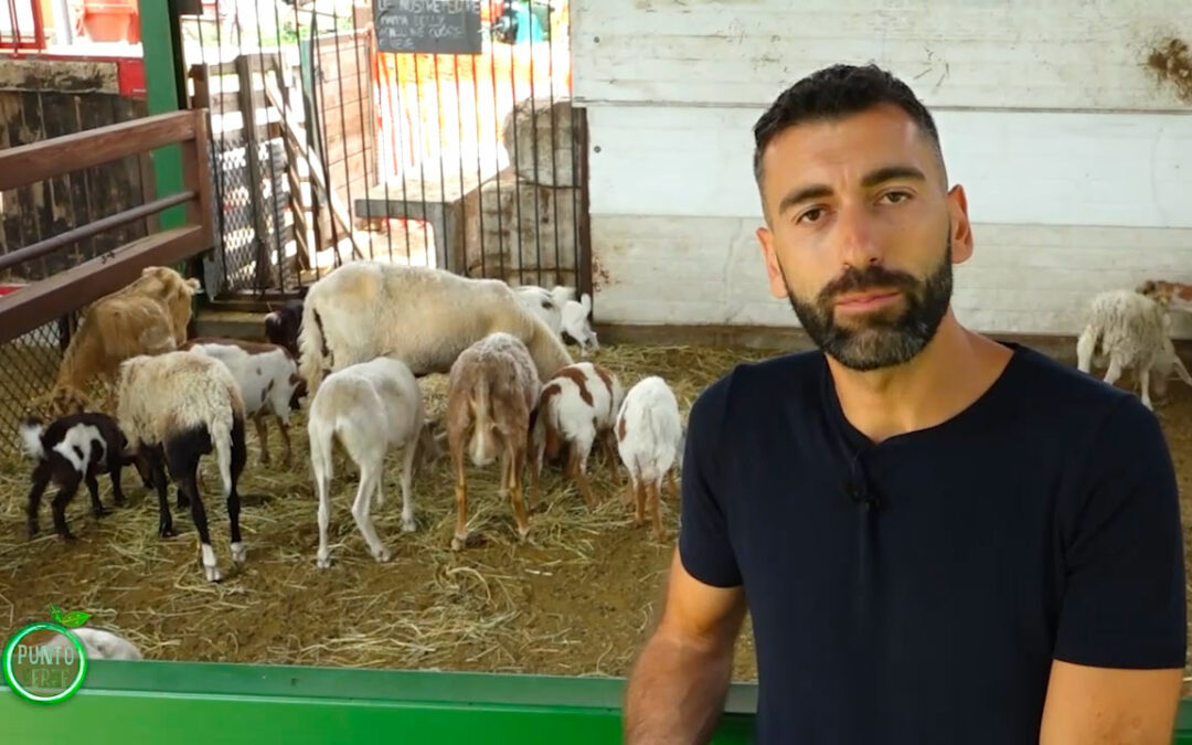 Cascina Pezzoli in TV a “Punto verde”