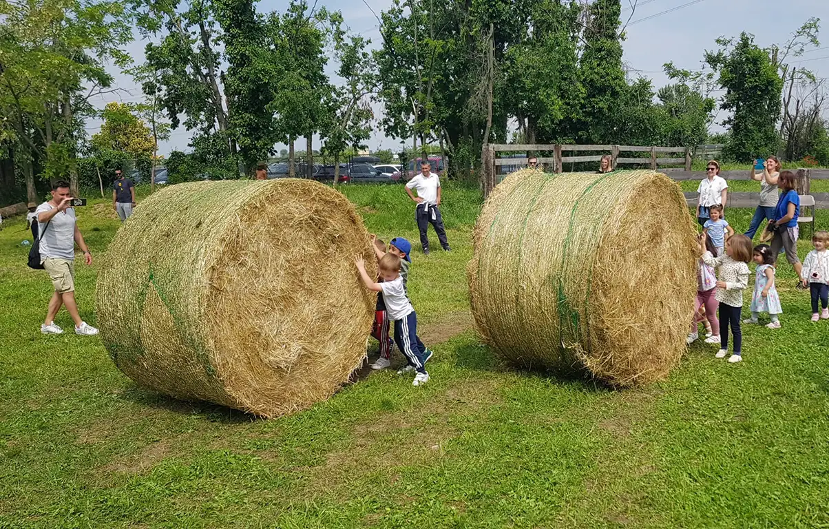 FESTA DEL FIENO: 25 maggio, 1 e 2 giugno 2025